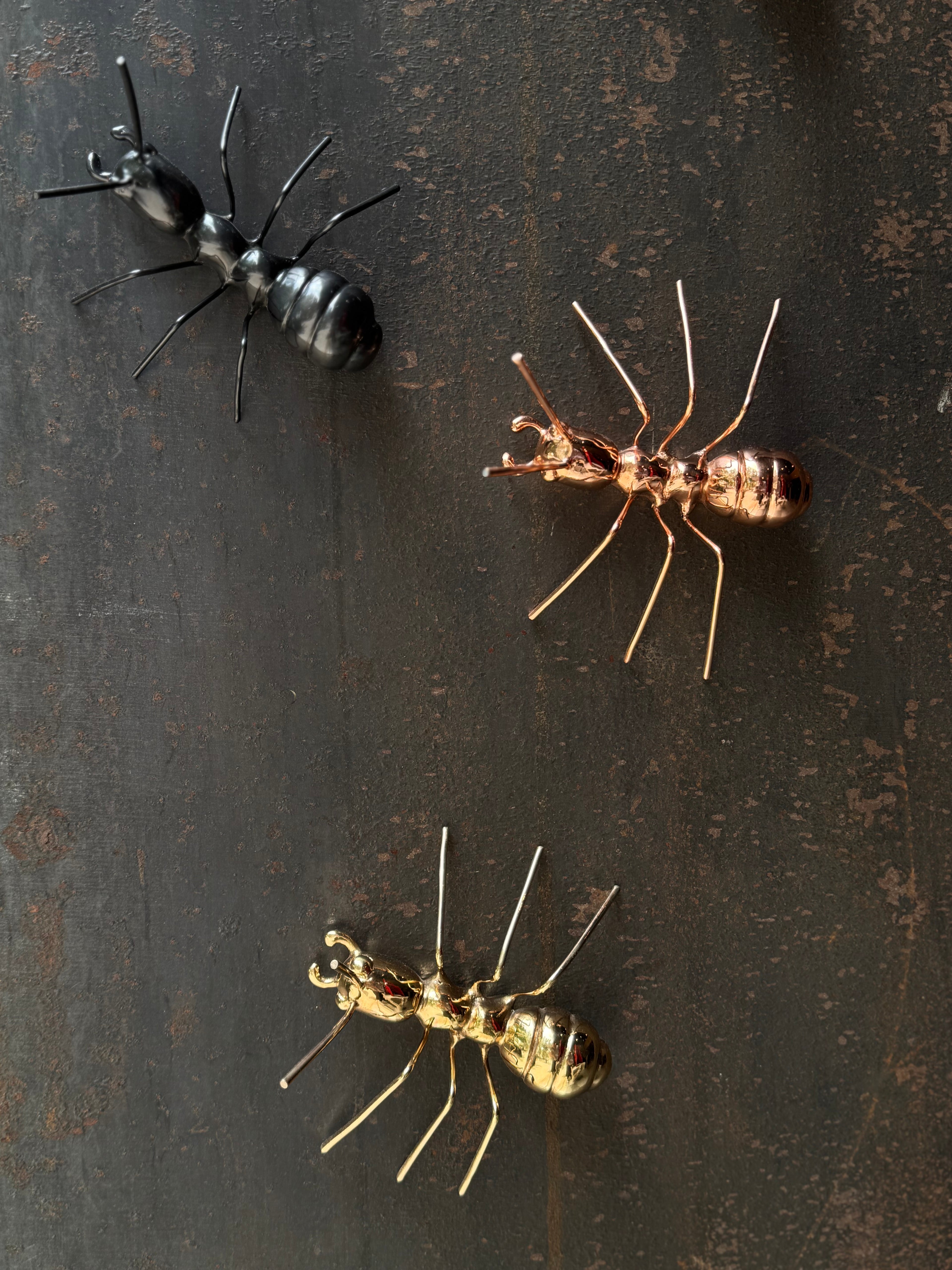 Ants (Set of 3) by Marcos Cojab