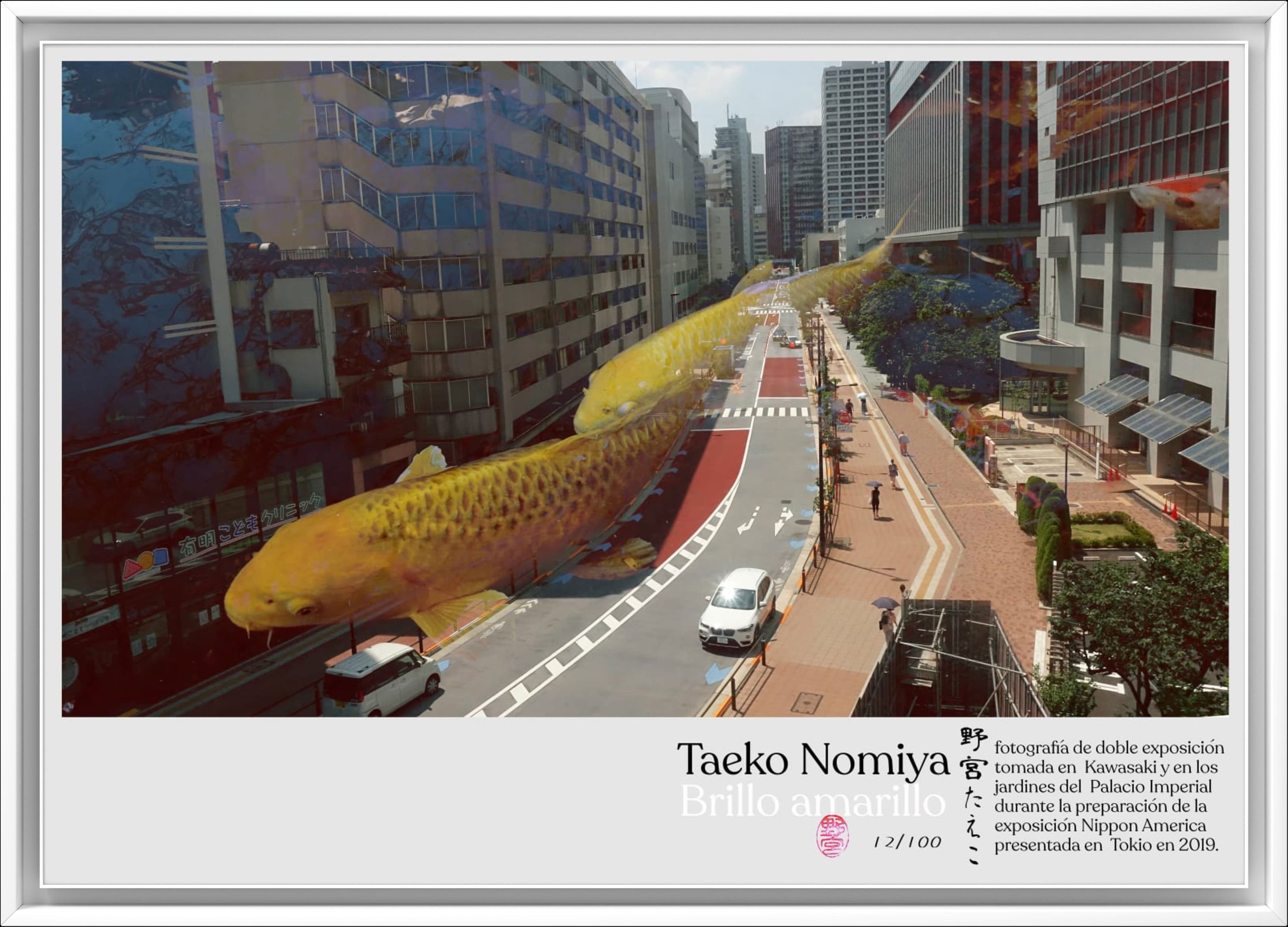 Brillo Amarillo (Print) by Taeko Nomiya