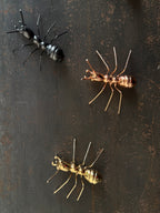 Ants (Set of 3) by Marcos Cojab