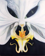 Space Invader by Pia Dehne