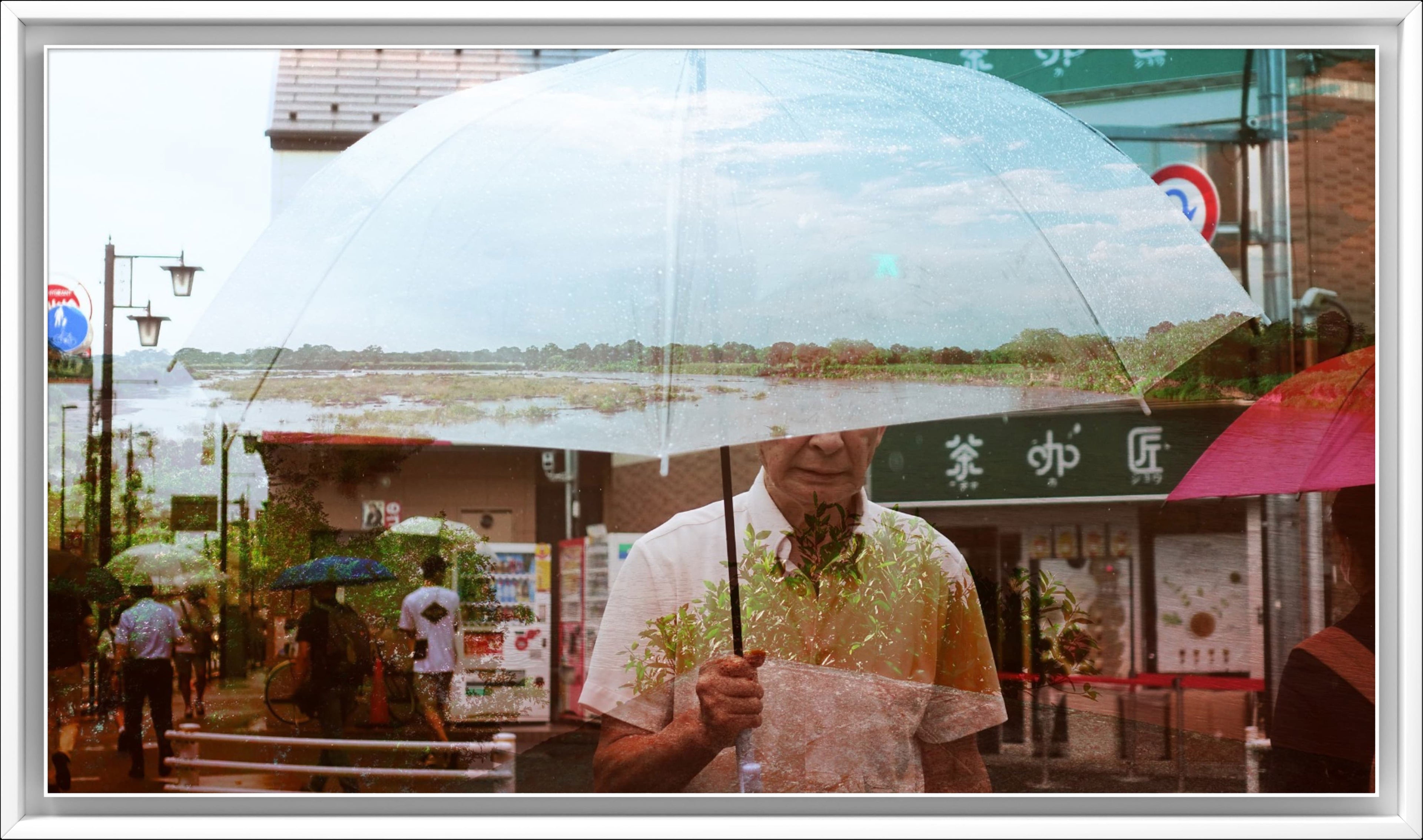 Temporada de lluvias en Veracruz y Hyakunincho by Taeko Nomiya