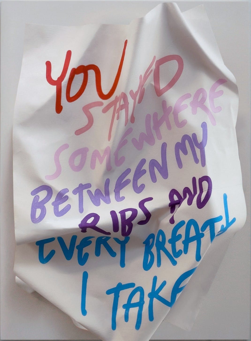 Anotaciones (Between My Ribs) by Ricardo Luévanos