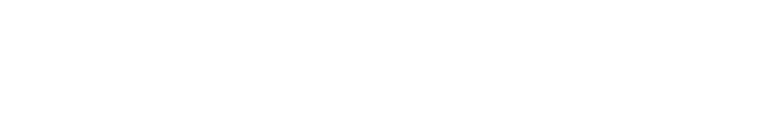 Art of Noma