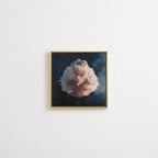 Como si algo quisiera despertar — Product Shot, White Wall