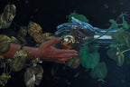 El Fruto Del Nuevo Edén Original Painting by Arturo Lemus Beltrán